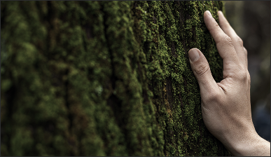 Ответственное отношение  к природе